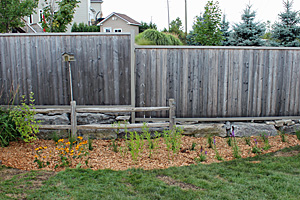Rain Garden